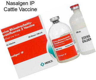 Nasalgen IP Cattle Vaccine