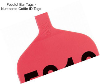 Feedlot Ear Tags - Numbered Cattle ID Tags