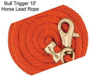 Bull Trigger 10\' Horse Lead Rope