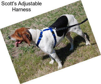Scott\'s Adjustable Harness