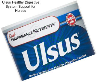 Ulsus Healthy Digestive System Support for Horses