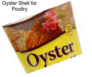 Oyster Shell for Poultry