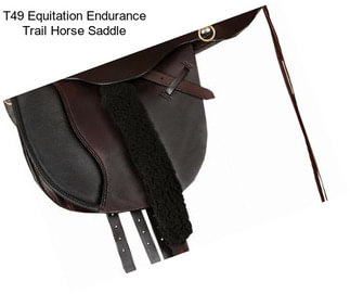 T49 Equitation Endurance Trail Horse Saddle