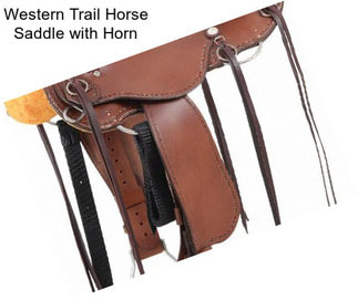 Western Trail Horse Saddle with Horn