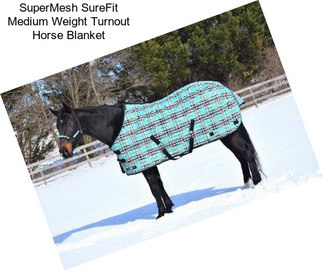 SuperMesh SureFit Medium Weight Turnout Horse Blanket