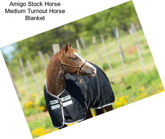 Amigo Stock Horse Medium Turnout Horse Blanket