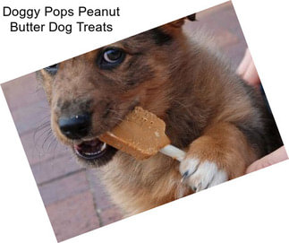 Doggy Pops Peanut Butter Dog Treats