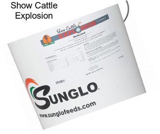 Show Cattle Explosion