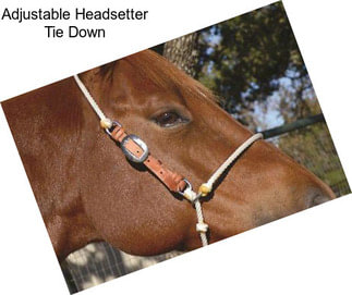 Adjustable Headsetter Tie Down