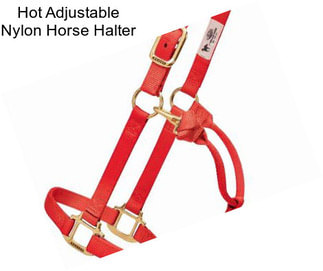 Hot Adjustable Nylon Horse Halter