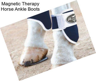 Magnetic Therapy Horse Ankle Boots