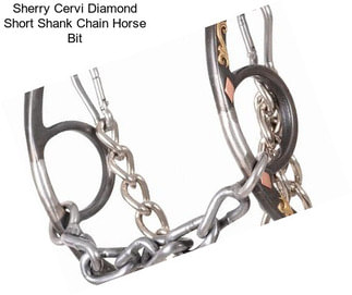 Sherry Cervi Diamond Short Shank Chain Horse Bit