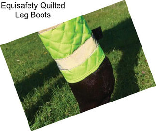 Equisafety Quilted Leg Boots