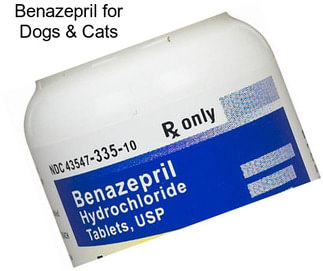 Benazepril for Dogs & Cats