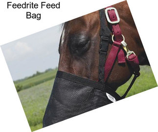 Feedrite Feed Bag