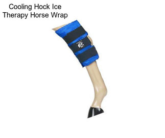 Cooling Hock Ice Therapy Horse Wrap