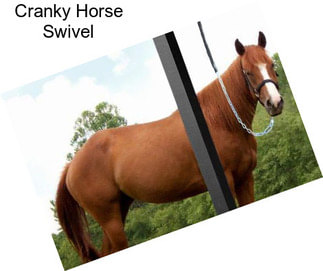 Cranky Horse Swivel