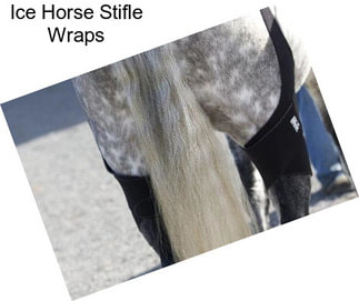 Ice Horse Stifle Wraps