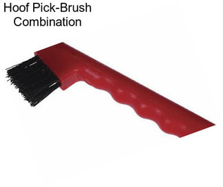 Hoof Pick-Brush Combination