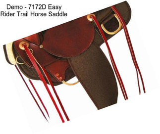 Demo - 7172D Easy Rider Trail Horse Saddle