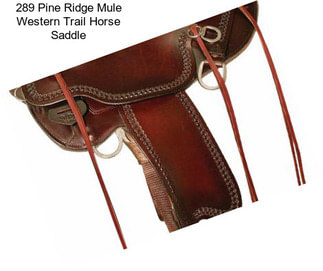 289 Pine Ridge Mule Western Trail Horse Saddle