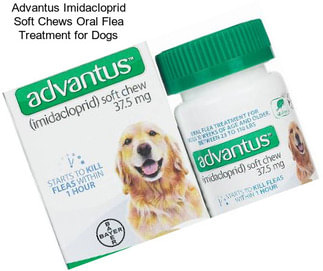 Advantus Imidacloprid Soft Chews Oral Flea Treatment for Dogs