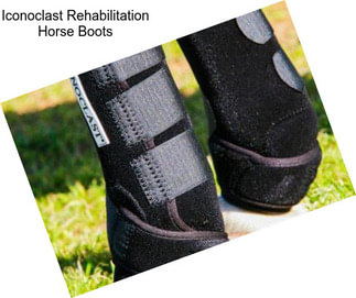 Iconoclast Rehabilitation Horse Boots