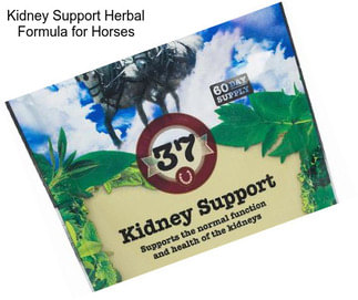 Kidney Support Herbal Formula for Horses