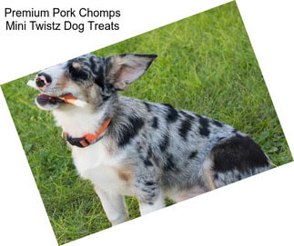 Premium Pork Chomps Mini Twistz Dog Treats