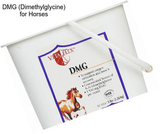 DMG (Dimethylglycine) for Horses