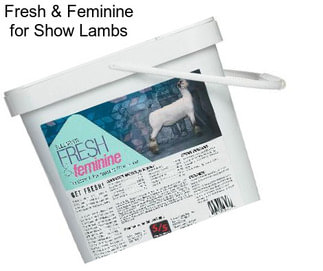 Fresh & Feminine for Show Lambs