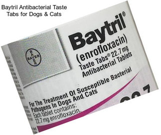Baytril Antibacterial Taste Tabs for Dogs & Cats