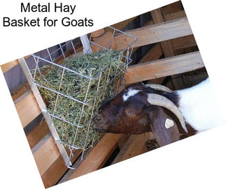 Metal Hay Basket for Goats