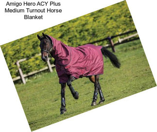 Amigo Hero ACY Plus Medium Turnout Horse Blanket