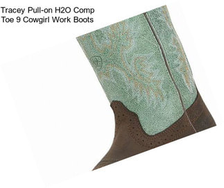 Tracey Pull-on H2O Comp Toe 9\
