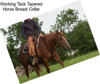 Working Tack Tapered Horse Breast Collar