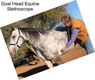 Dual Head Equine Stethoscope