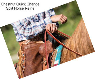 Chestnut Quick Change Split Horse Reins