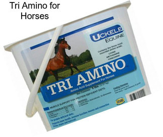 Tri Amino for Horses