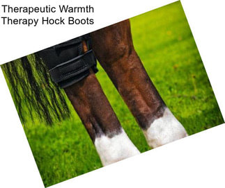 Therapeutic Warmth Therapy Hock Boots