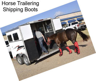 Horse Trailering Shipping Boots