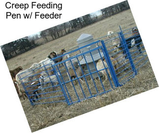 Creep Feeding Pen w/ Feeder