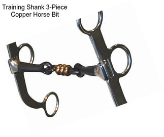 Training Shank 3-Piece Copper Horse Bit