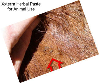 Xxterra Herbal Paste for Animal Use
