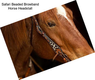 Safari Beaded Browband Horse Headstall