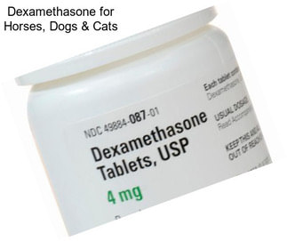 Dexamethasone for Horses, Dogs & Cats