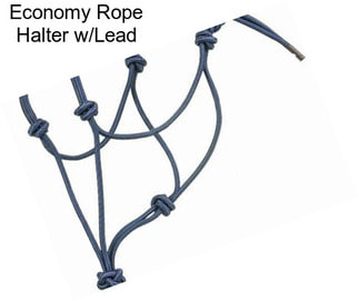 Economy Rope Halter w/Lead