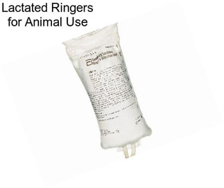 Lactated Ringers for Animal Use