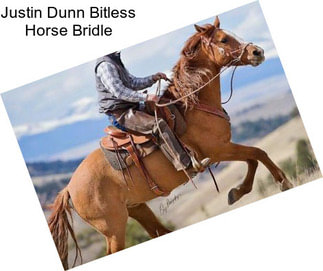 Justin Dunn Bitless Horse Bridle