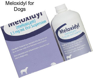 Meloxidyl for Dogs